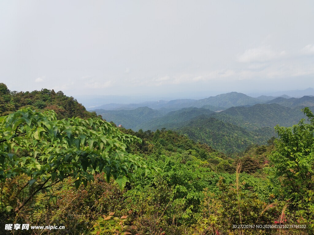 山间绿野 远眺连绵群山