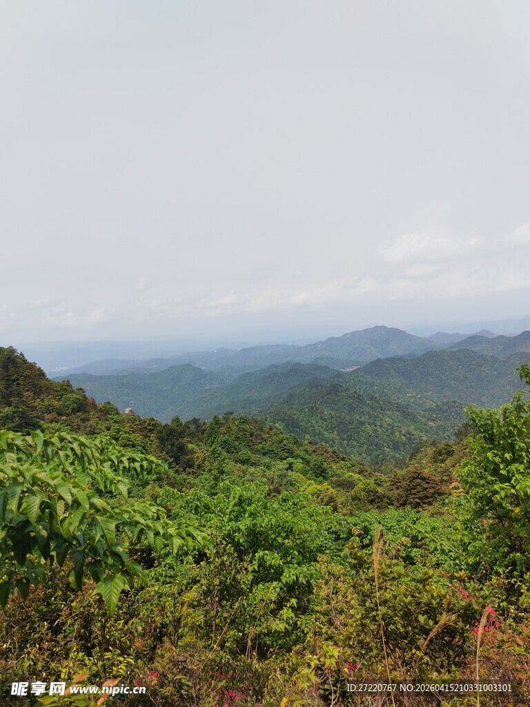山间绿意盎然的秀丽景致