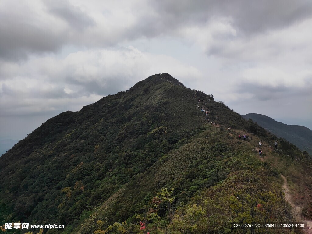 云雾缭绕的青翠山峰