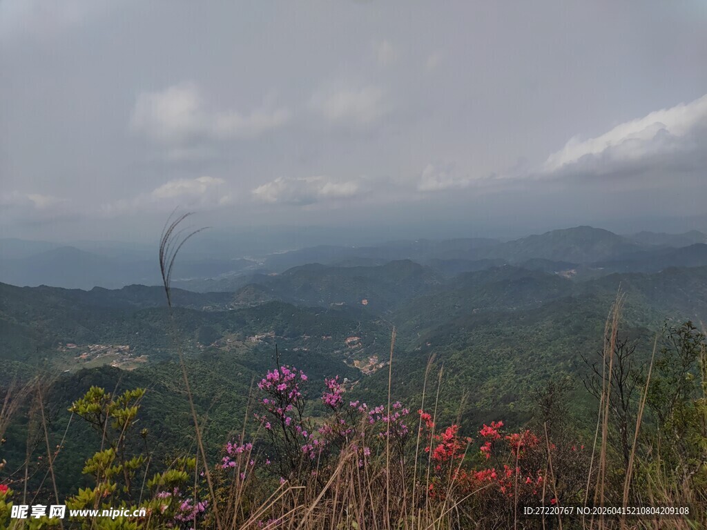 山间美景 繁花点缀山峦
