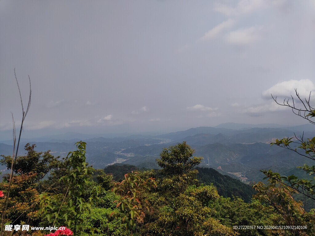 山间美景 绿意与繁花相映
