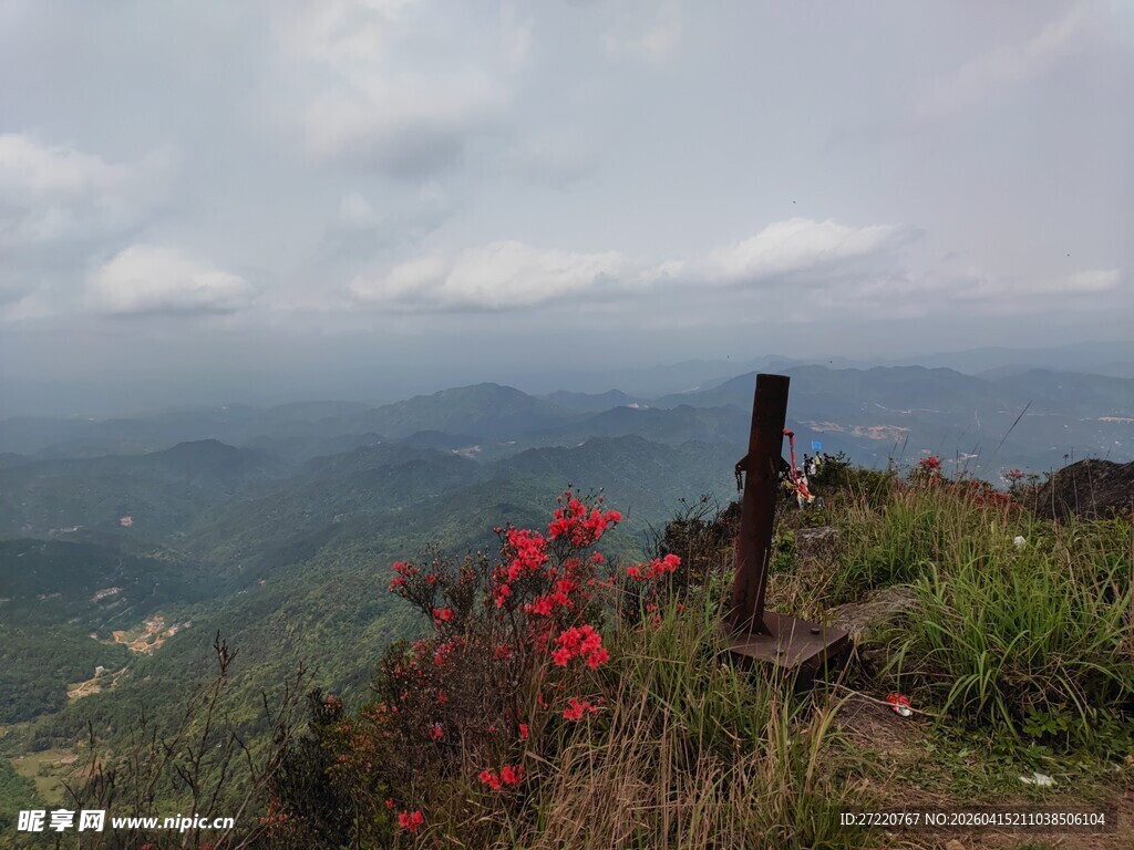 山巅红花与远方景致