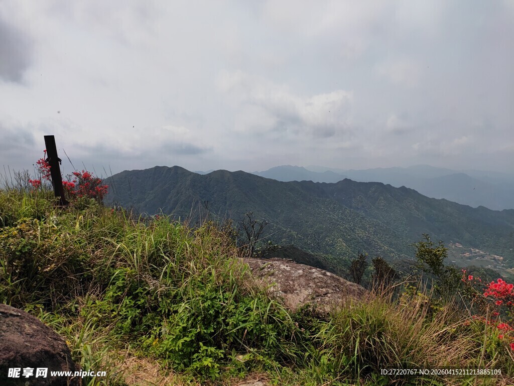 山巅风光 绿植与远山相伴
