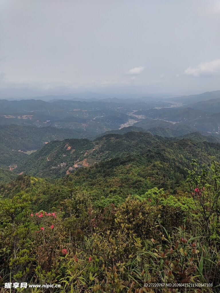 山峦绿意浓 俯瞰自然美景