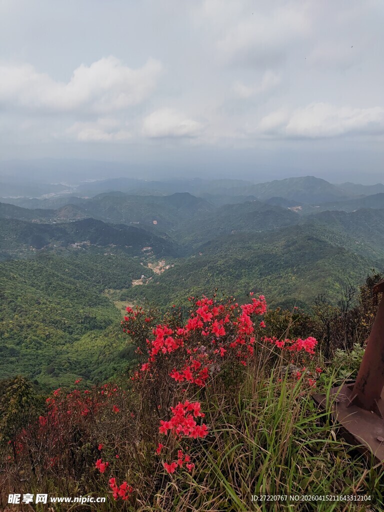 山间红花点缀秀丽风景