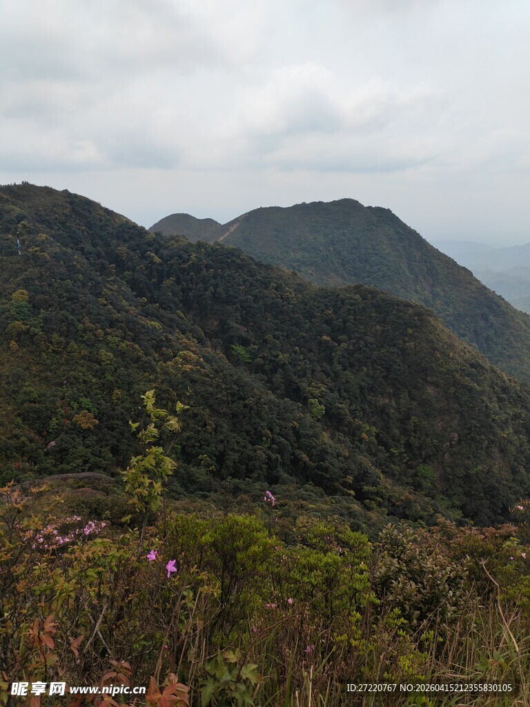 山间美景 绿意盎然的自然