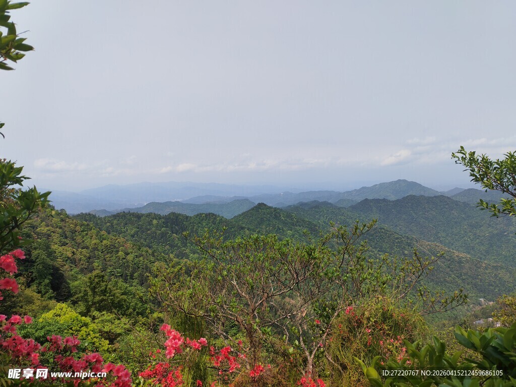山间美景 繁花点缀绿意