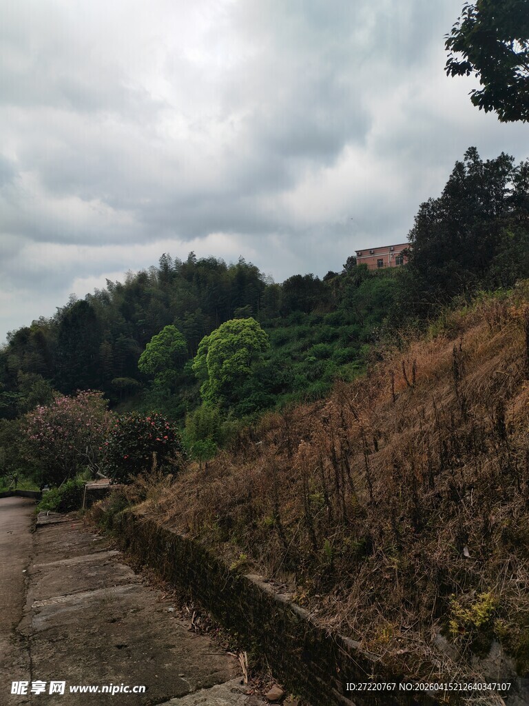 山间小径 绿植环绕景致美