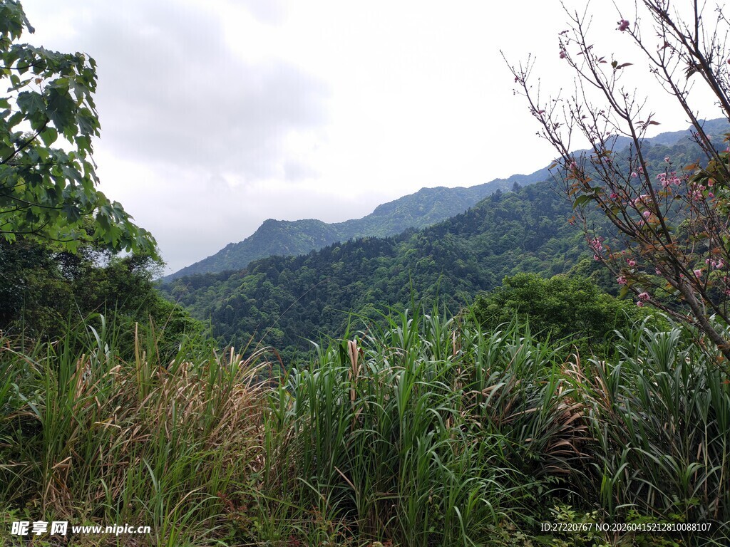 山间绿野 自然美景如画