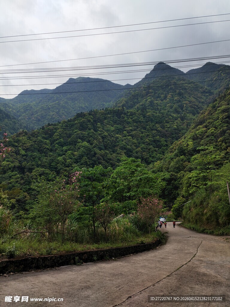 山间蜿蜒公路 绿意盎然