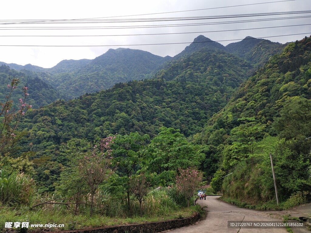 山间蜿蜒小路 绿意盎然