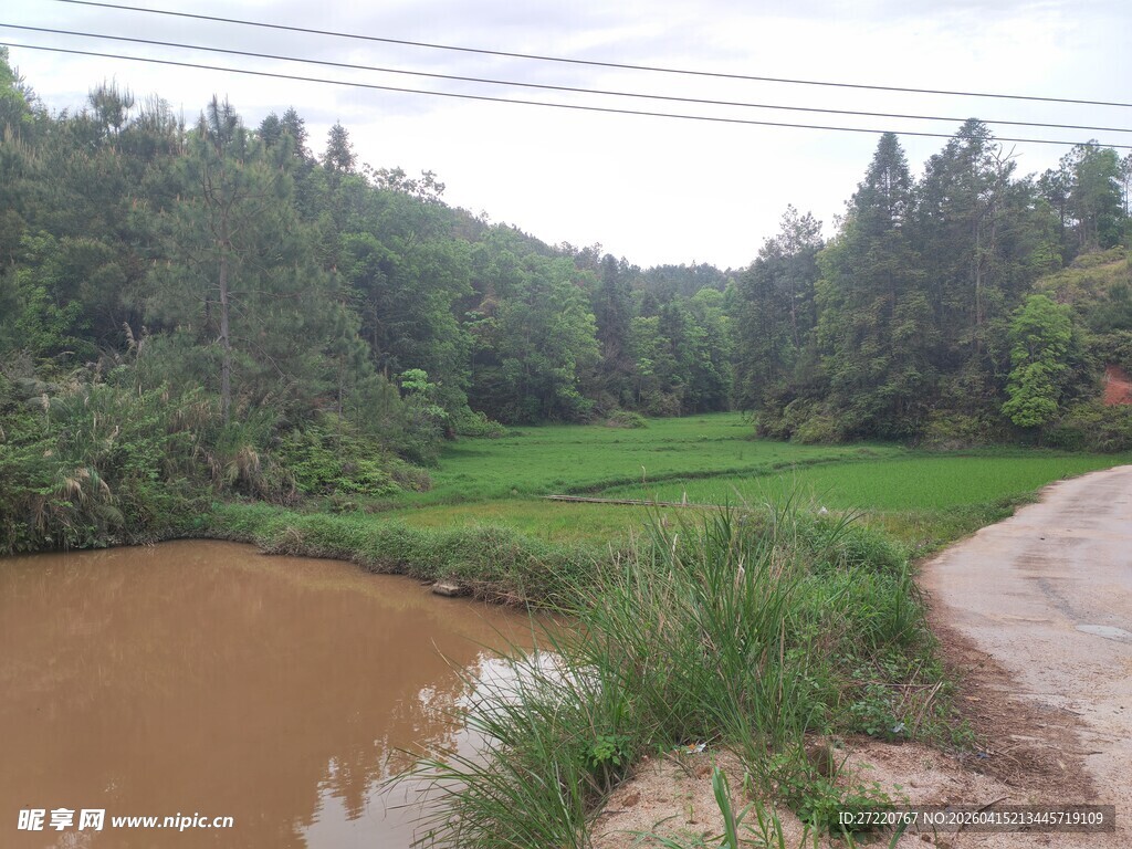 乡村田野间的泥泞小路