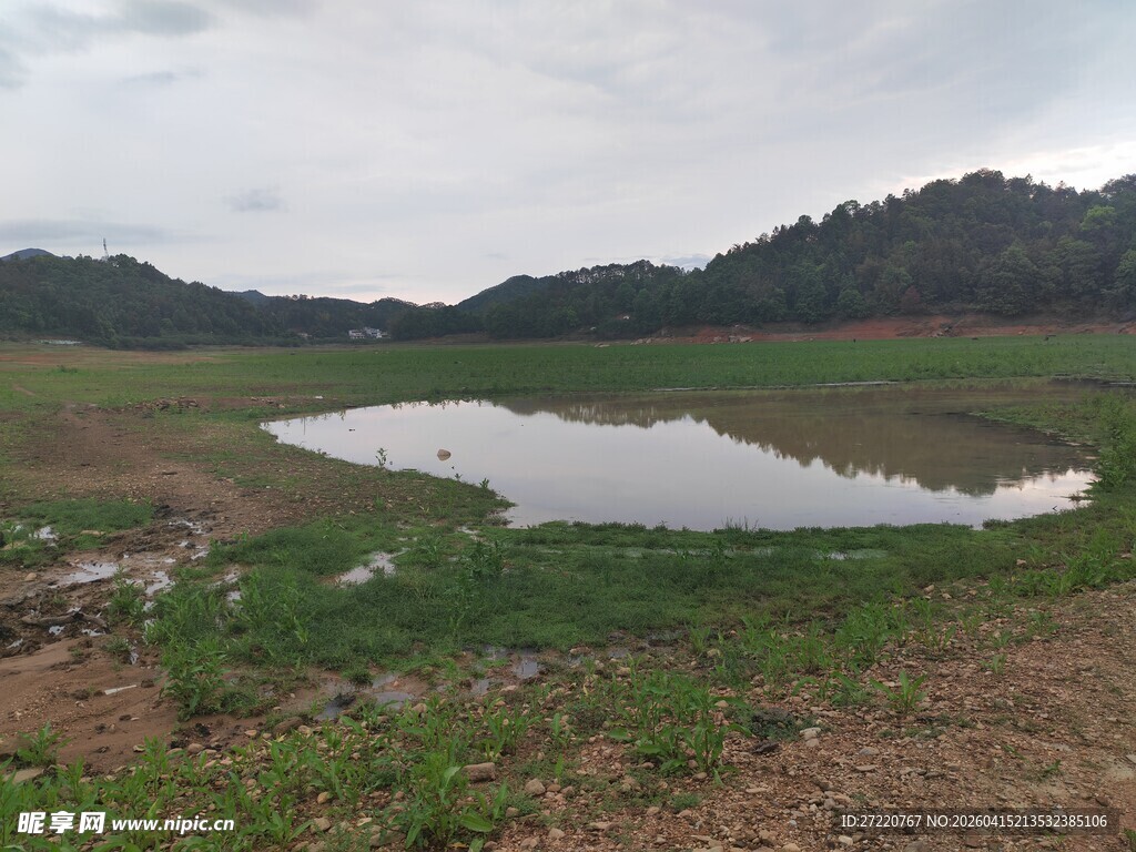乡村湿地景观