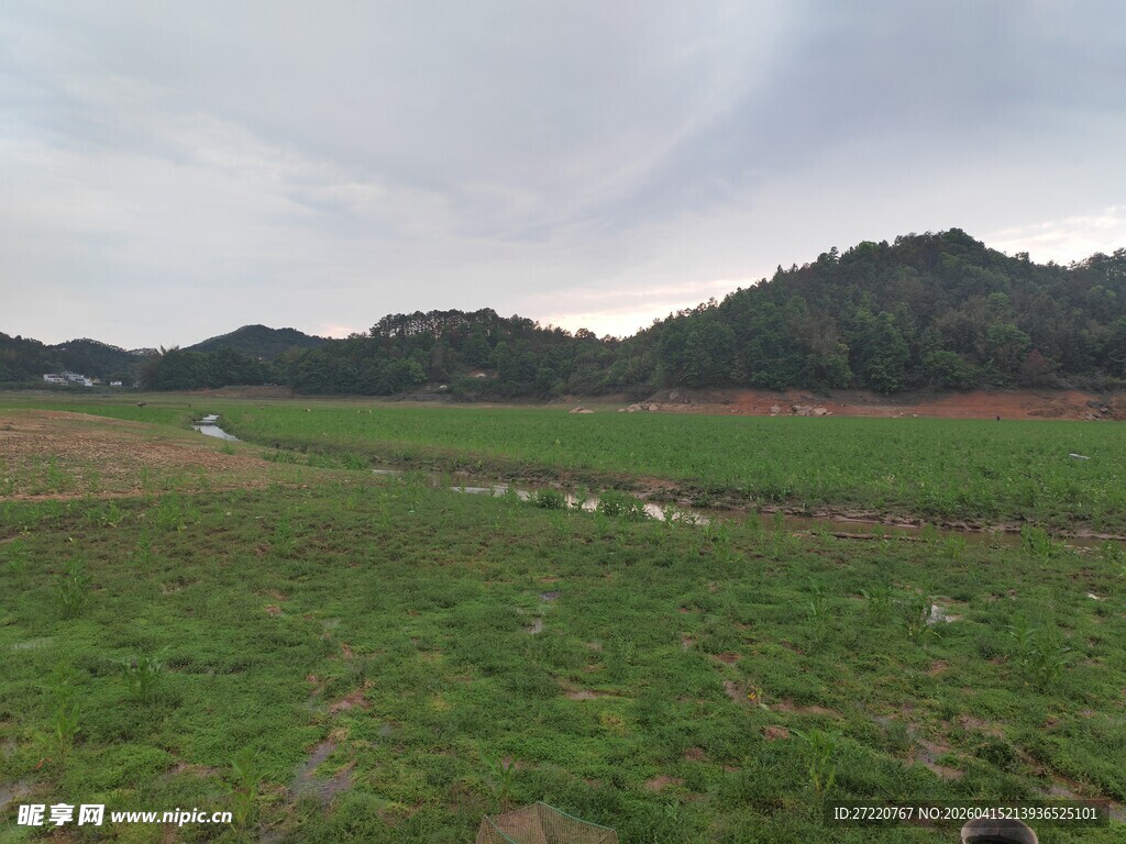 广袤绿野与远山的自然景致