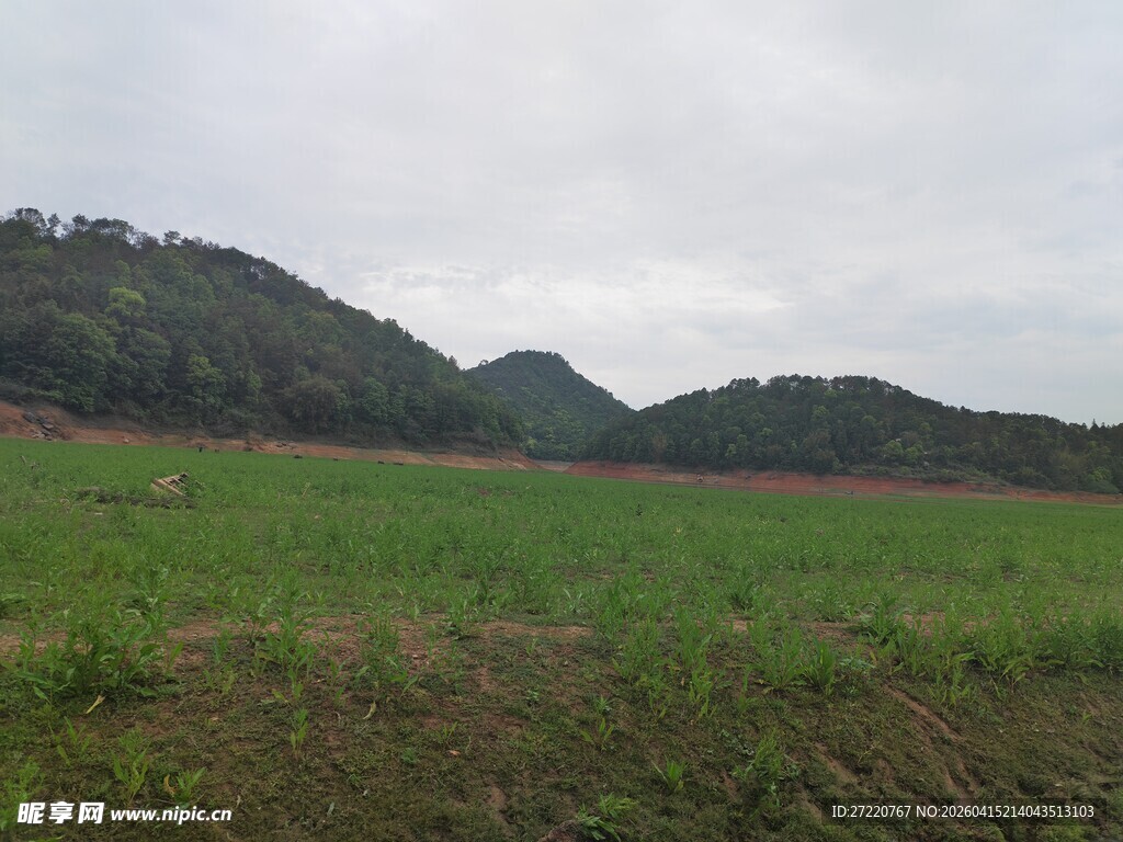 田野山峦风景图