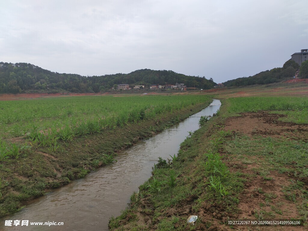 田野间的潺潺溪流