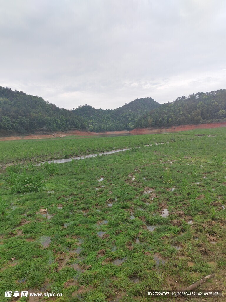 广袤绿野与远山景致