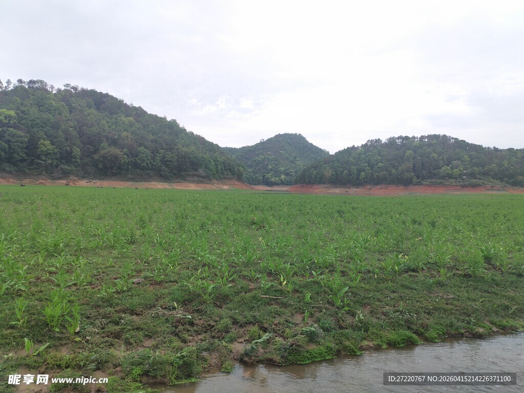 田野风光 远山近水绿意浓