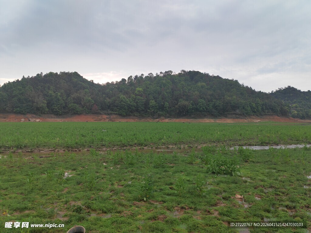 广袤绿野与远处山峦景色