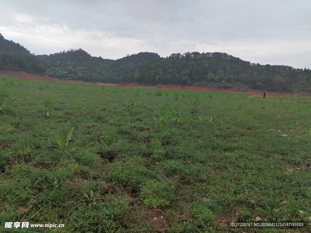 广袤绿野与远处山峦