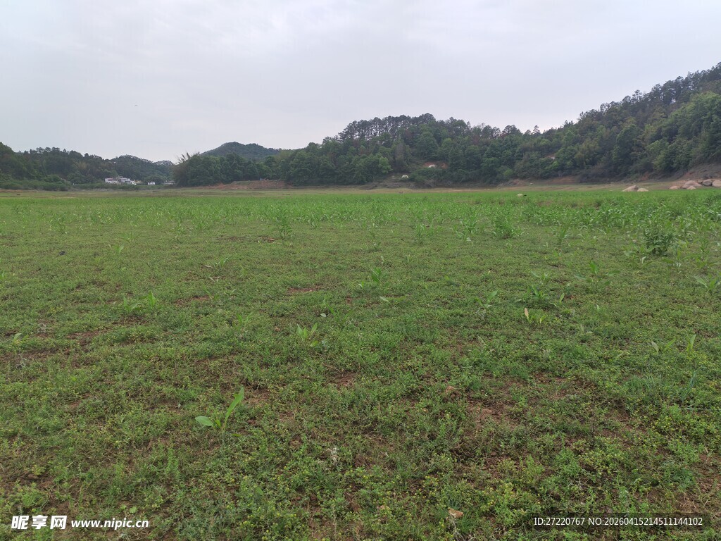 广袤绿野 远处青山环绕