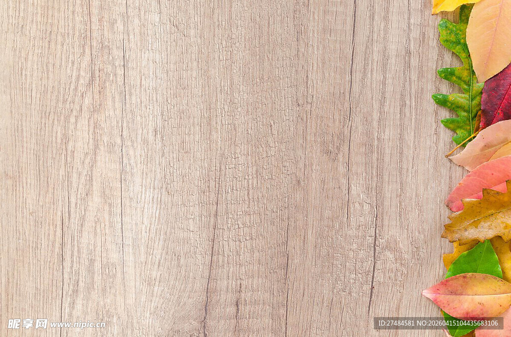 木质背景旁的多彩花瓣