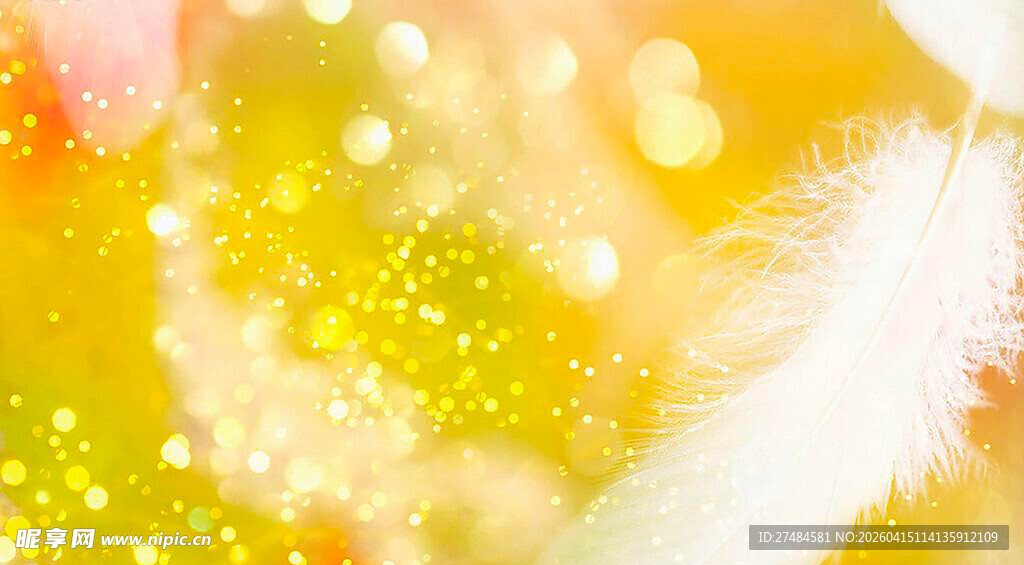 梦幻光斑与轻柔羽毛