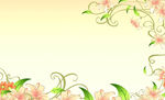 花卉藤蔓装饰边框背景图