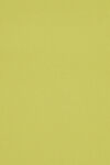 淡黄绿色纯色背景图