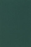深绿色纯色背景纹理