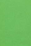 亮绿色纯色背景纹理