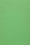 纯绿色背景图