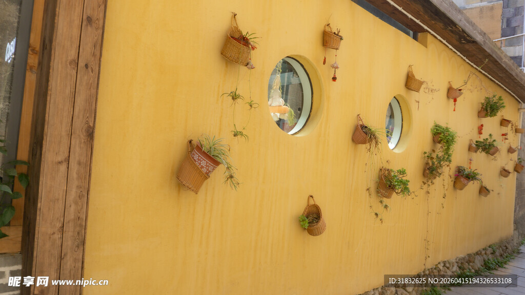 黄色墙面上的可爱盆栽