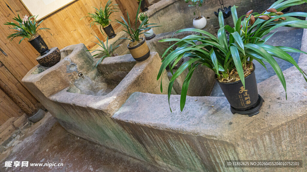 室内绿植与石质装饰摆件