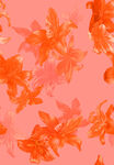 橙色花卉图案背景纹理