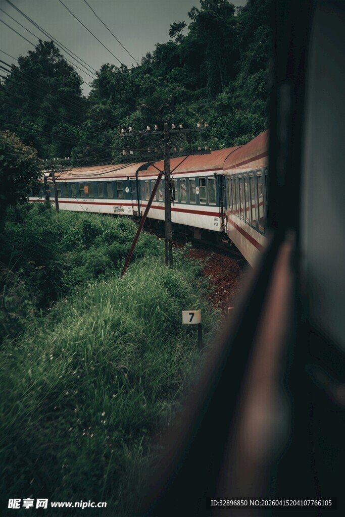 火车穿行于绿意盎然之景