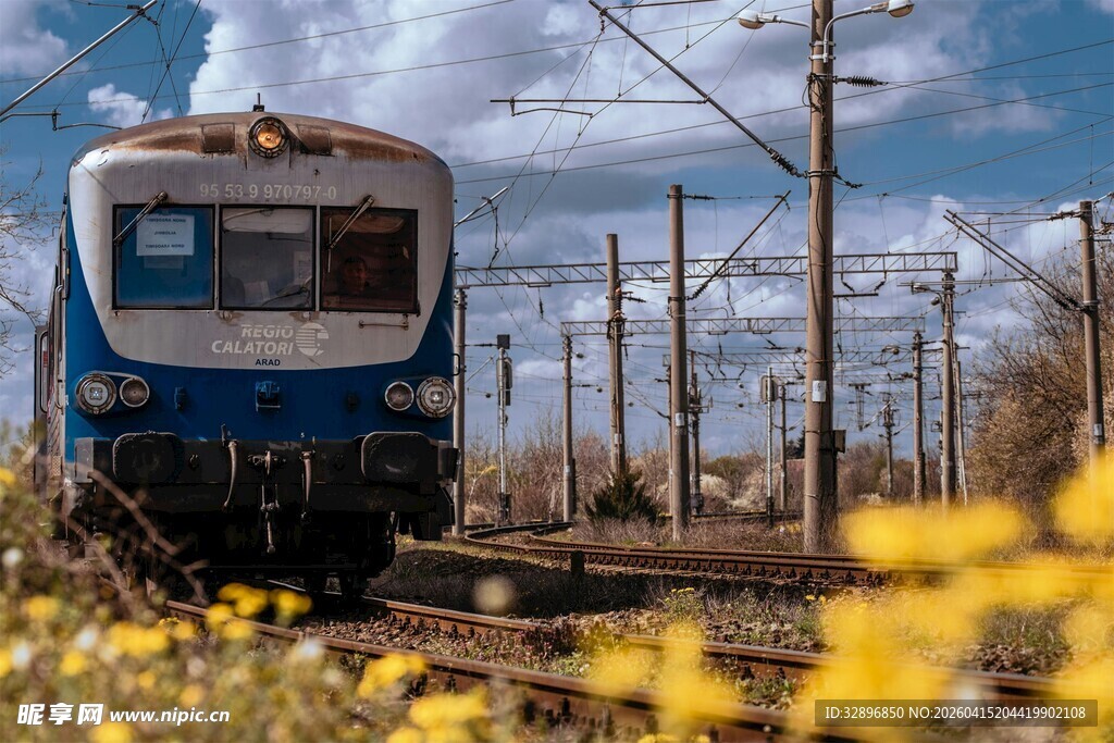 蓝白火车穿行于黄花间