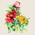 水彩绘多彩花卉