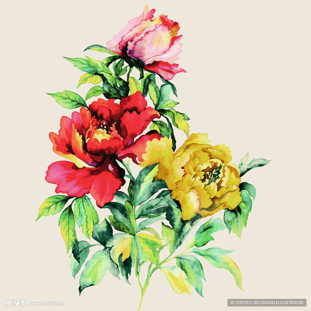 水彩绘多彩花卉
