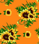 橙色背景向日葵花卉图案