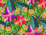热带花卉植物图案背景