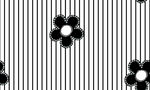 黑白条纹花朵图案设计