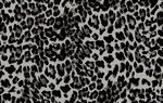 豹纹图案纹理