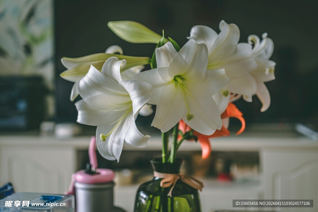 花瓶中绽放的白色百合花