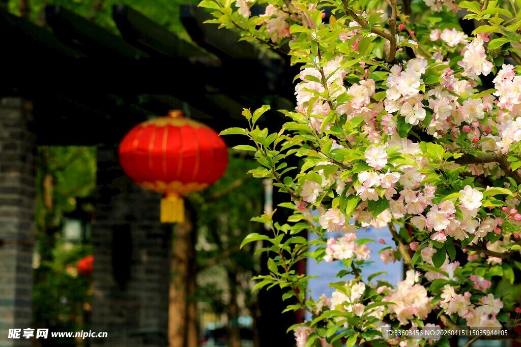 红灯笼映繁花中式景致