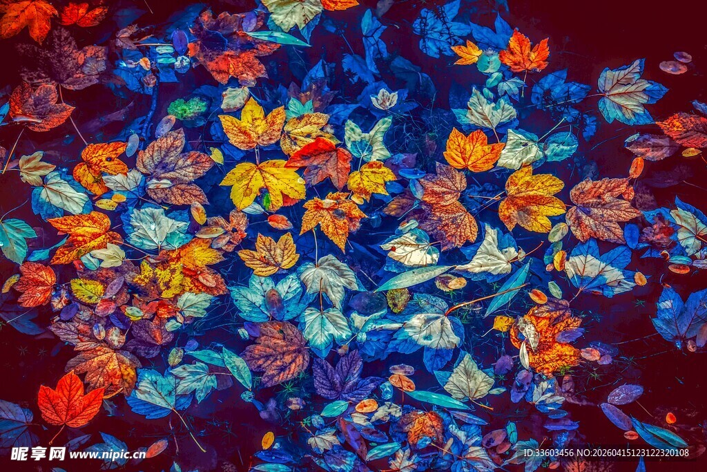 绚丽多彩花卉抽象图案