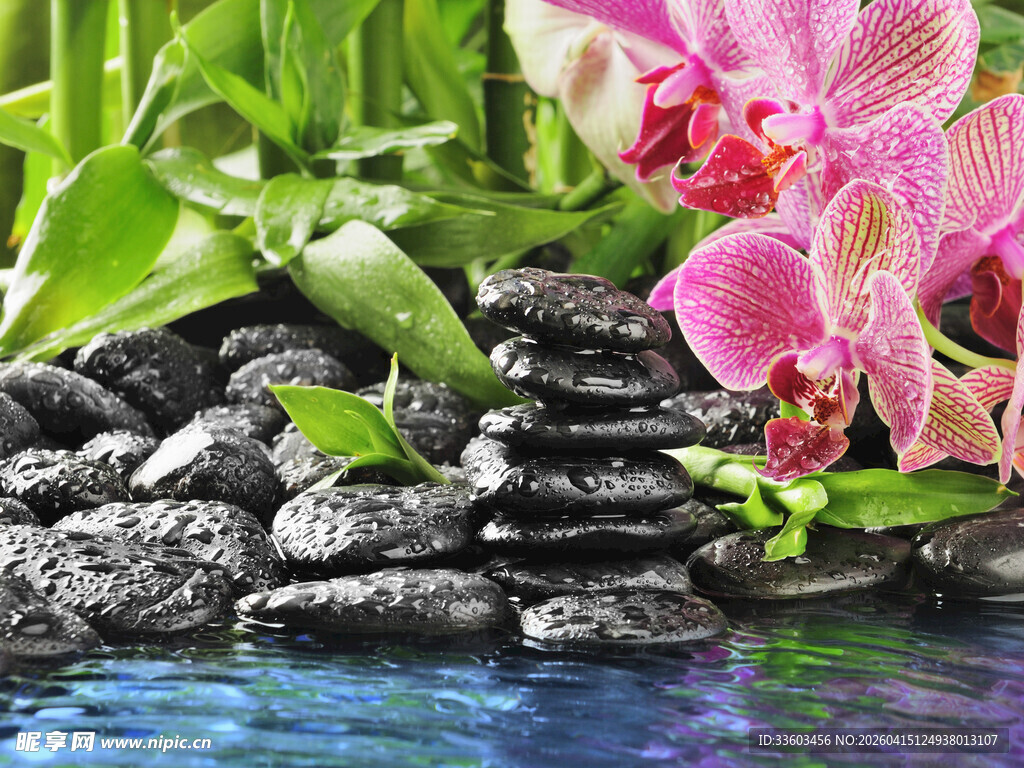 水边粉兰与黑石景观