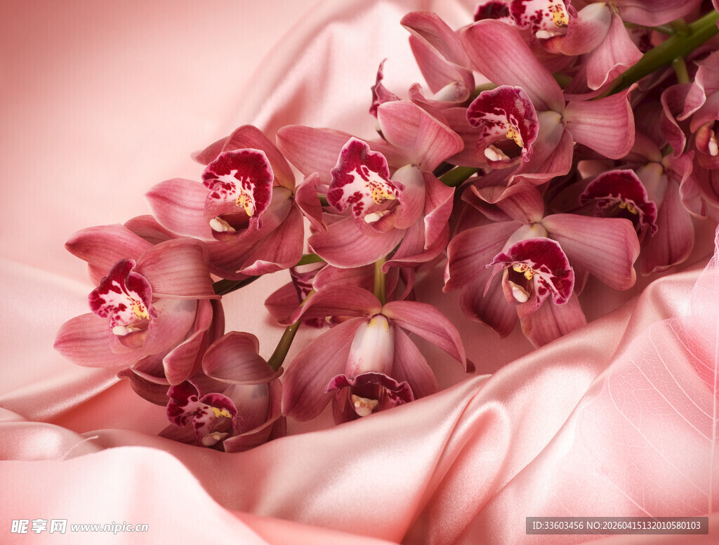 粉色兰花绽于柔滑绸缎上