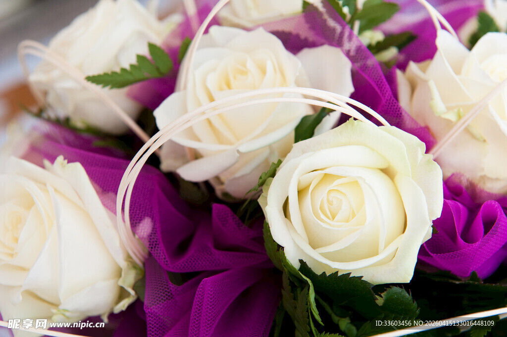 白玫瑰与紫色花束组合