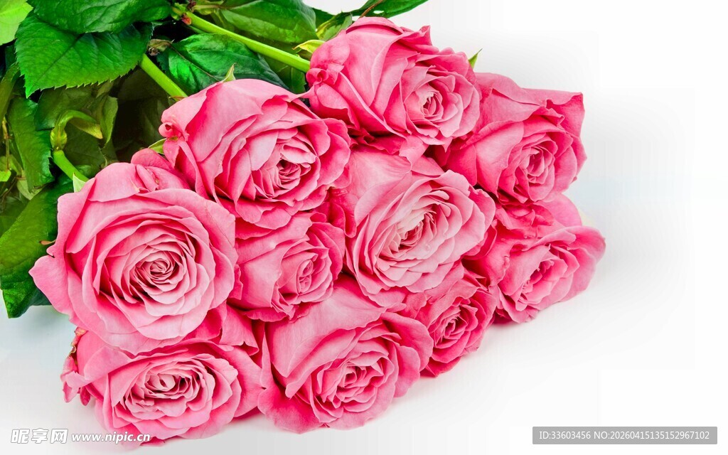 粉色娇艳玫瑰花束